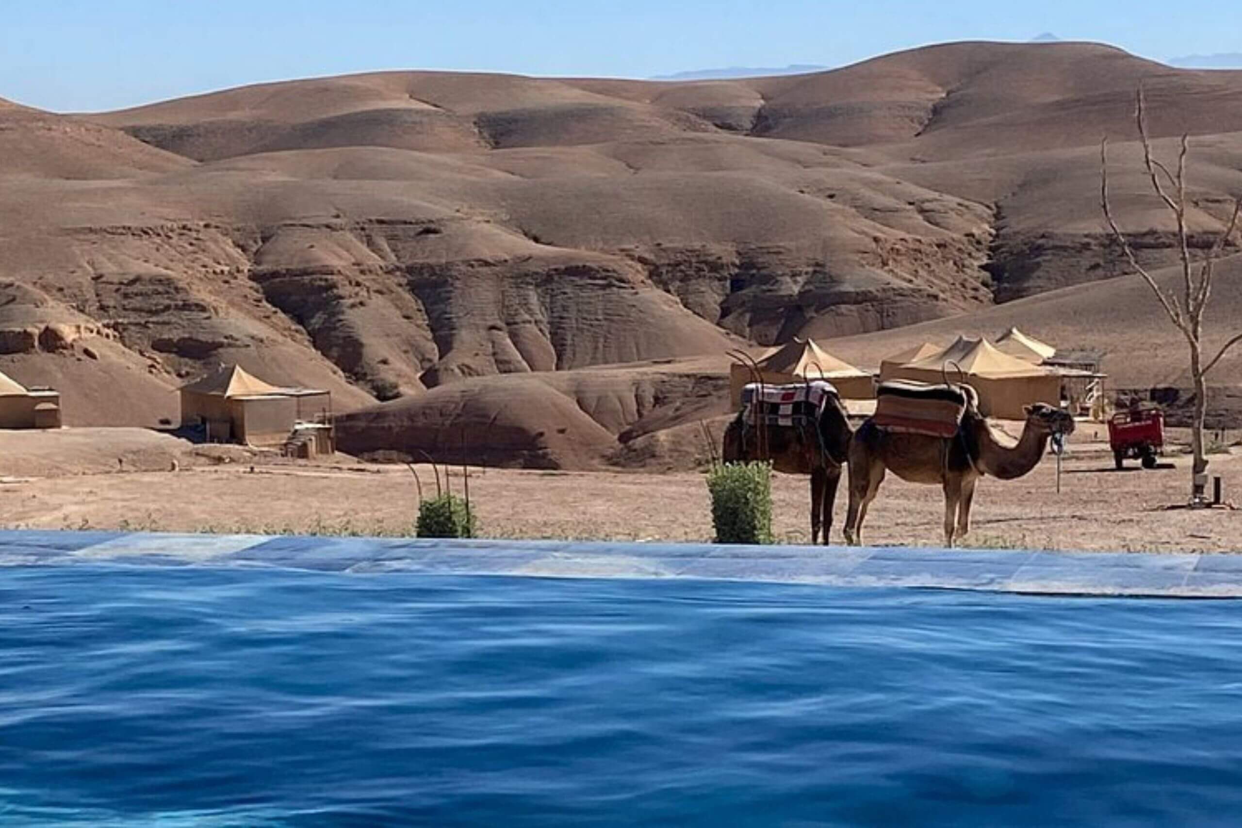 Journée piscine et déjeuner à Agafay