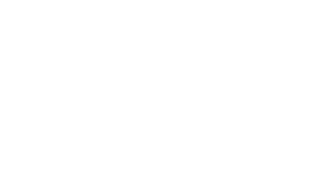 site icon blanc