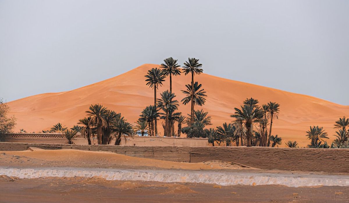 Vue sur les dunes et un bivouac installé pour la nuit
